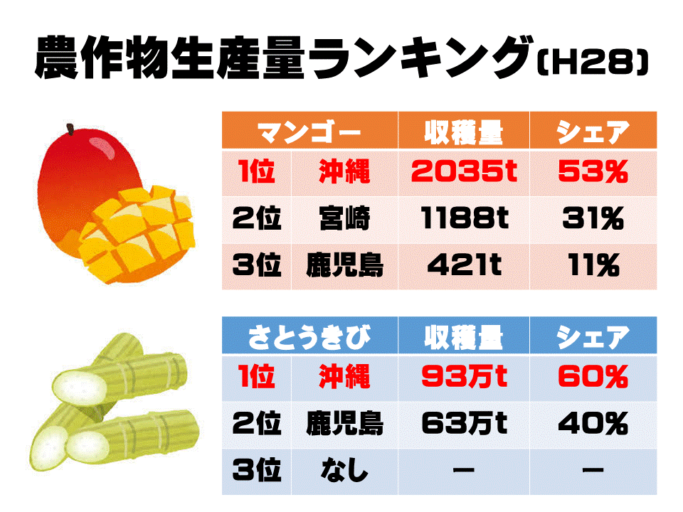 さとうきびの搾りかすをかりゆしウェアに。沖縄の文化を守る循環型ビジネス「バガスアップサイクル」Circular Economy Hub -サーキュラーエコノミー 循環経済 メディア