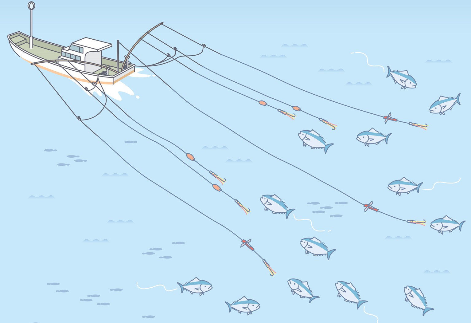 まき網漁漁師.jp：全国漁業就業者確保育成センタ