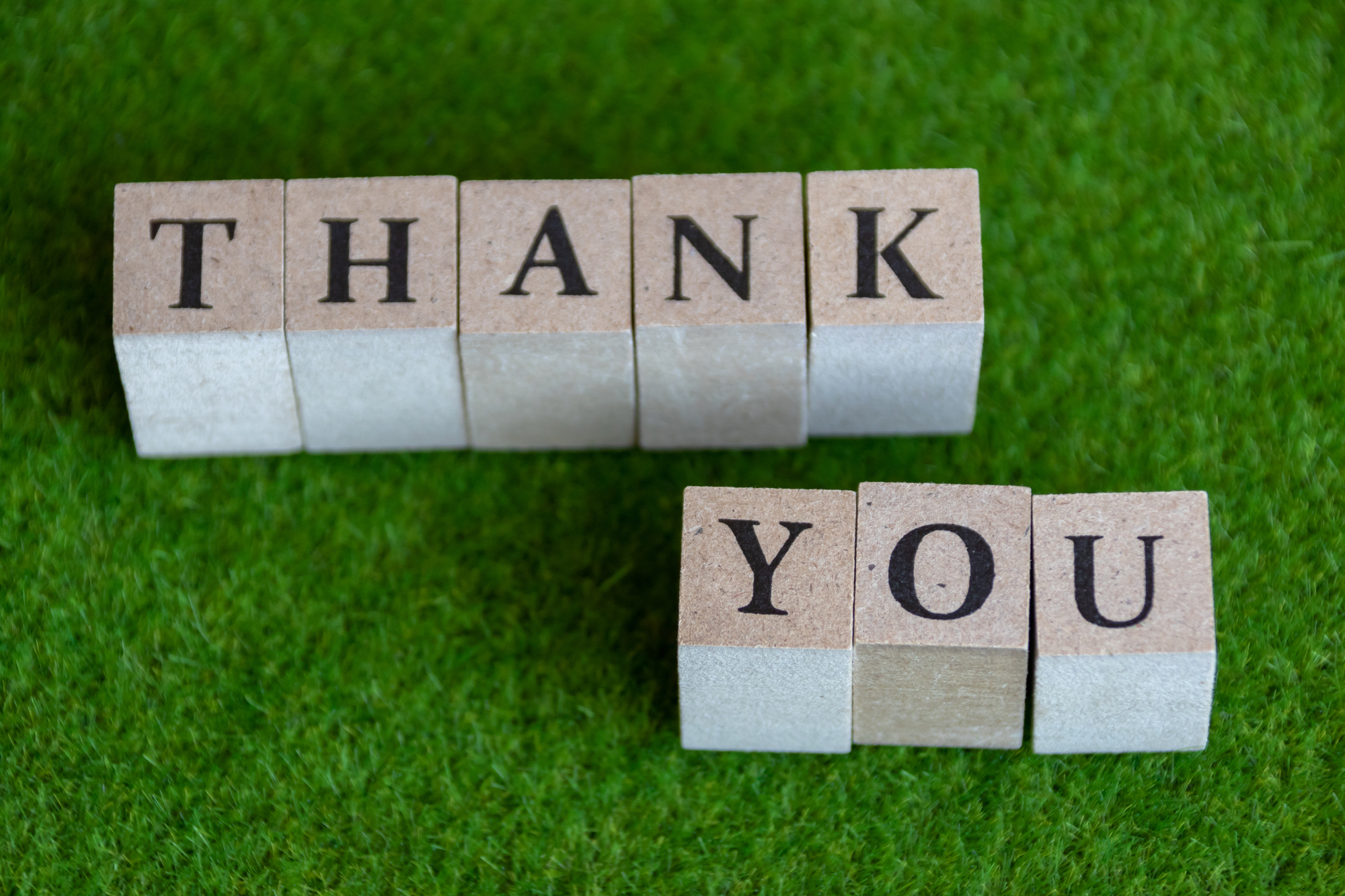 最優秀新進女優賞・森田想「長い時間をかけてしまったけど」第16回TAMA映画賞授賞式 完全フォトレポート– NB Press Online