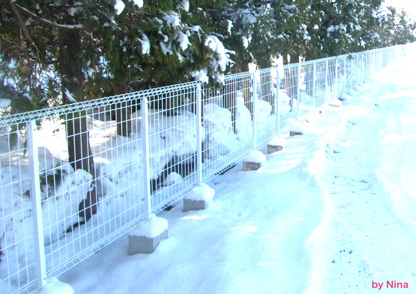 名古屋 庭を解体してブロックとフェンスで花壇を作る費用と手順