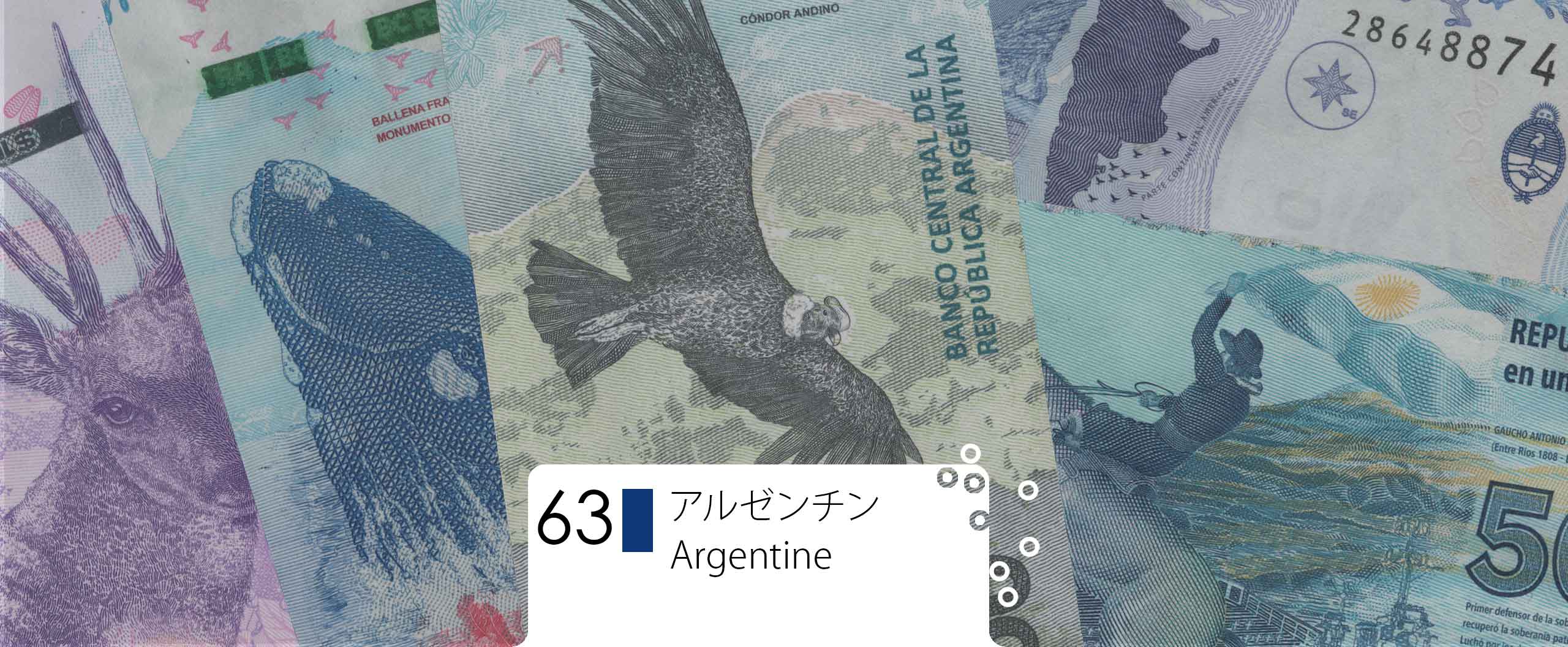サン・マルティンの肖像画を使った新1000ペソ紙幣が流通開始一般社団法人日本アルゼンチン協会