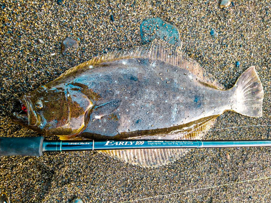 ヤマガブランクスのバリスティックとアーリーの違いはこれ！ @turishi_koya - YouTube