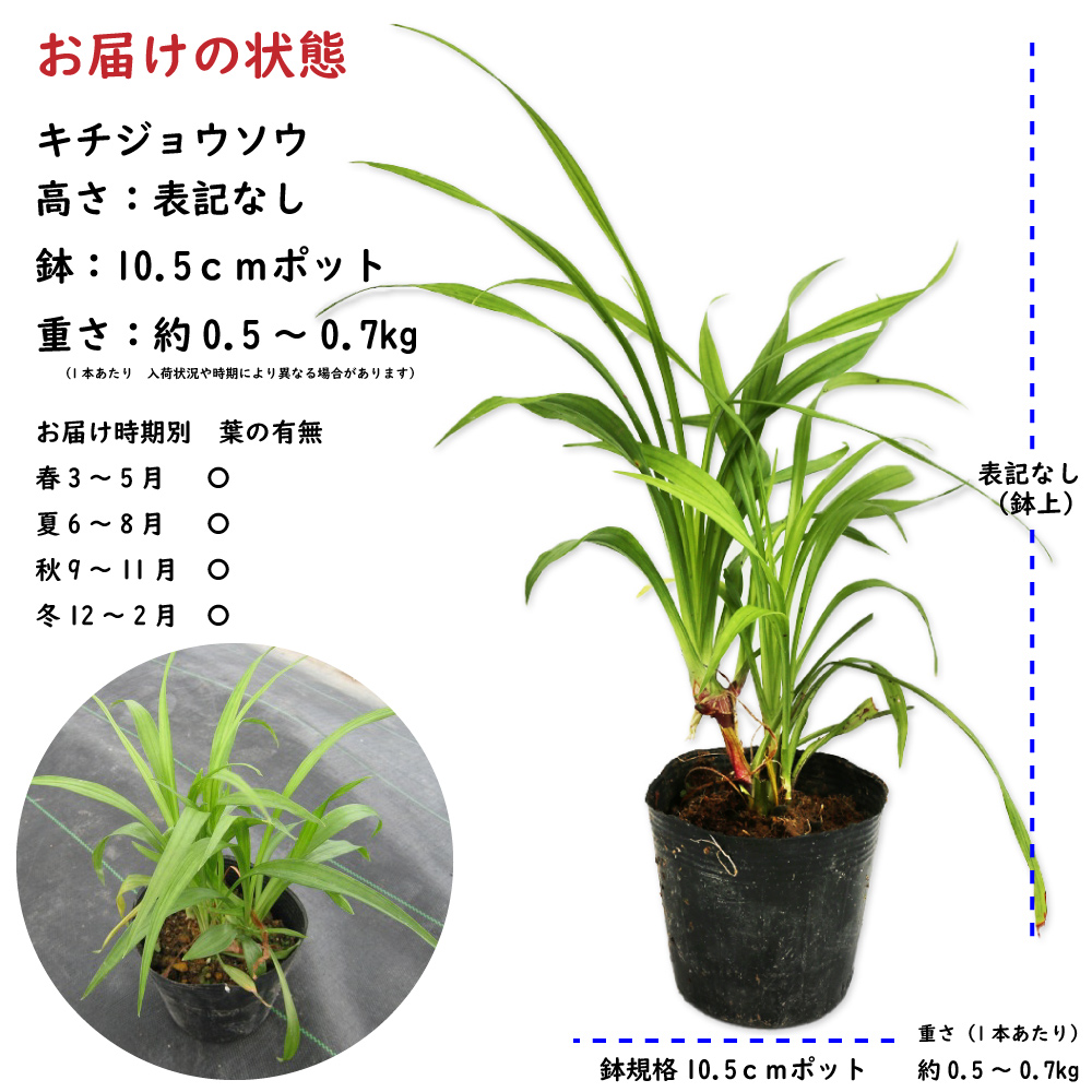 薪の違いがわかる男」ステッカーを販売しますメヤマキ