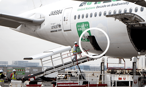 貨物扱いの動物 ペット 輸送について 国内 ANA Cargo