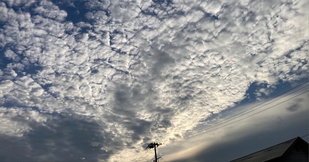 自由に生きる」ってめっちゃ疲れる件たーぼ