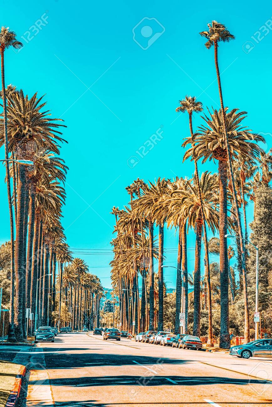 ハリウッド ヒルズ観光ガイド～定番人気スポットを参考に自分にピッタリの観光プランを立てよう！エクスペディア