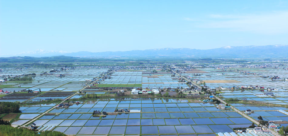 北海道・旭岳のふもとの セレクトショップ SALT 。大自然を遊びつくす厳選アイテム「colocal コロカル」ローカルを学ぶ・暮らす・旅する