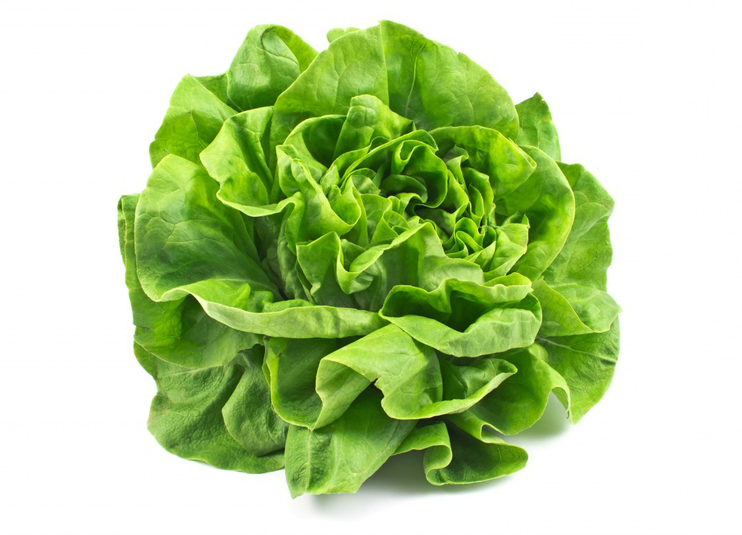 L'atelier it。ラトリエ イット高崎市栄町15-15 NOAマンション1-Cぷっくりぶーの忙しい毎日