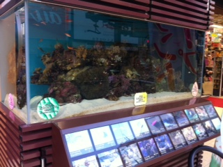 武蔵野市 株式会社ドン・キホーテ一覧 公式 ドン・キホーテ