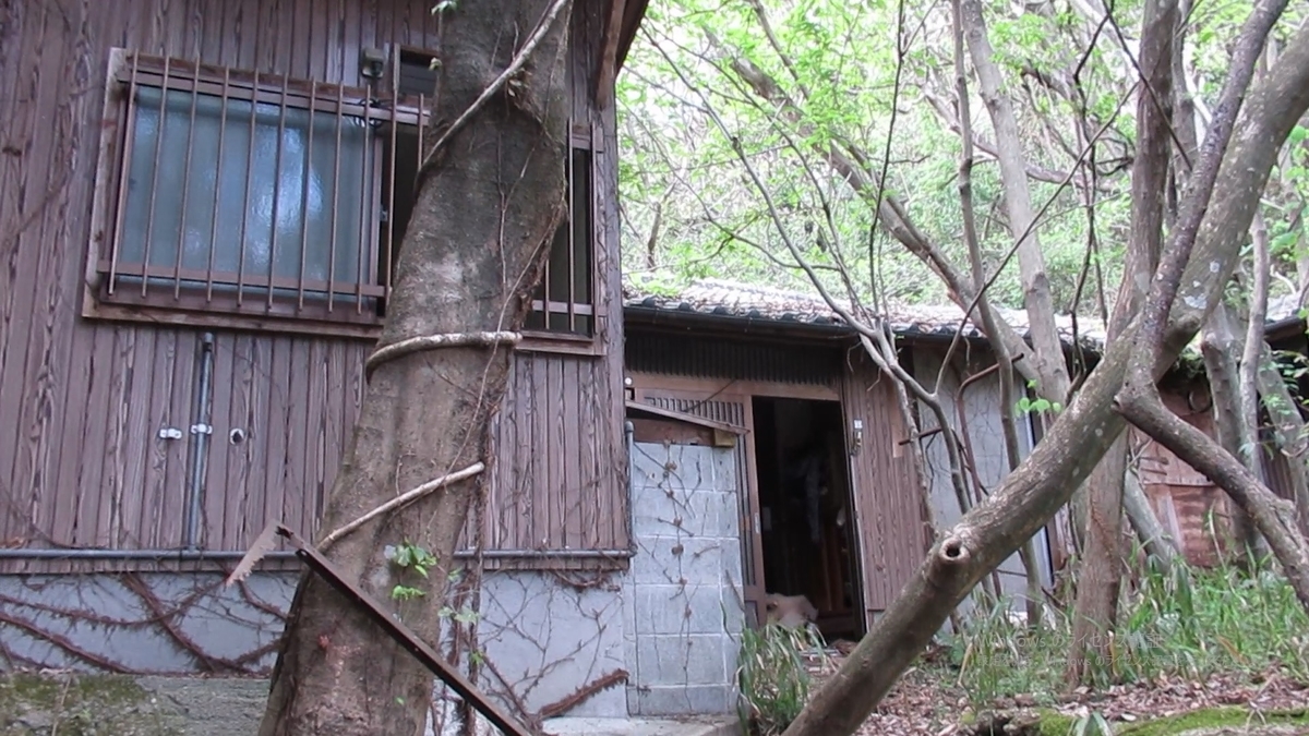 読むゾゾゾ２ワニブックス 編集＜電子版＞ - 紀伊國屋書店ウェブストアオンライン書店本、雑誌の通販、電子書籍ストア