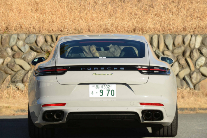 外国車 フロントデザイン エンブレム付き