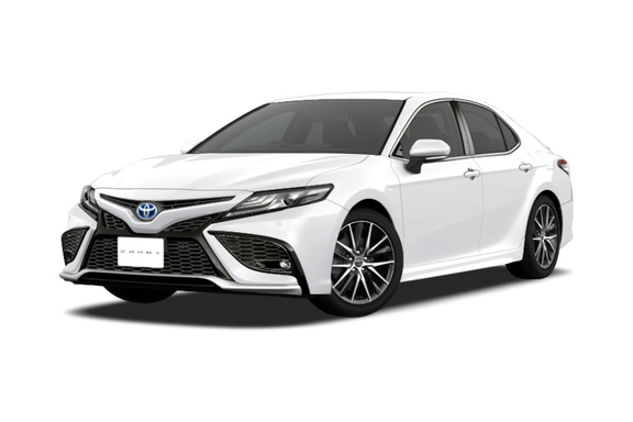 不動の一番白の種類