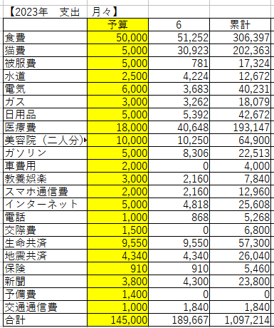 楽天市場2冊セット 年金暮らしでも生活が楽になる 税理士社労士が教える 賢いお金の使い方Q&A大全＆年金暮らし家計簿ノート年金 生活 年金受給年金の本 老後資金 老後 お金 退職金 定年 保険 介護保険 国民年金 厚生年金 老齢年金 おひとりさま : 文響社 楽天市場店