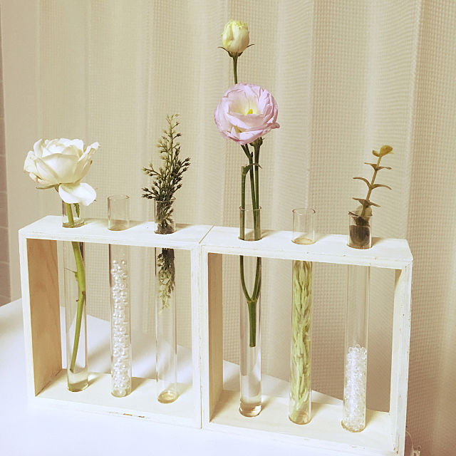 100均ダイソーの試験管立てに飾る☆多肉植物やサボテンの水栽培Sugar Pineのガラクタ日記 グリーン&DIYの日々