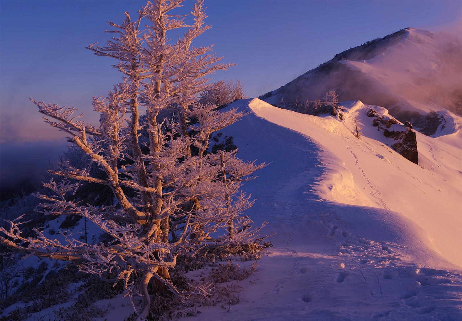 松山北高日記北高 ～ 一朶の雲を目指して ～