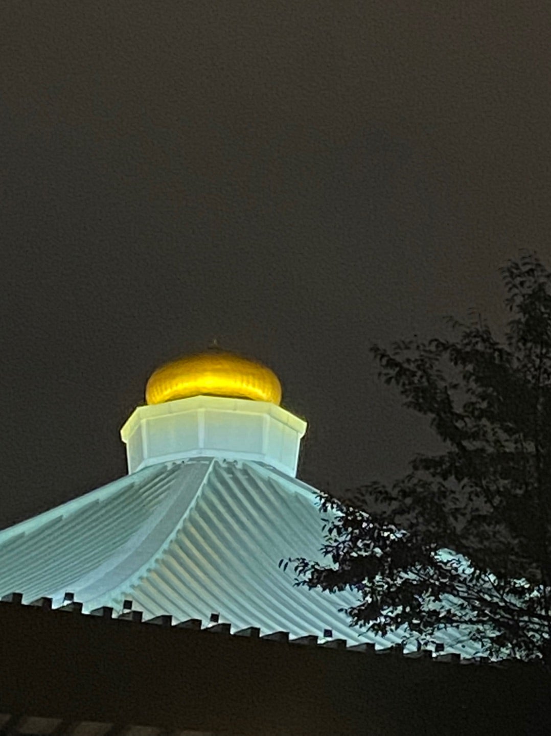 続・大きな玉ねぎへの想い 後編 : 西村春彦の気まぐれブログ