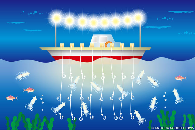 お魚ガイド関連情報 巻き網漁法や刺し網漁法など さまざまな漁法の解説 WWFジャパン