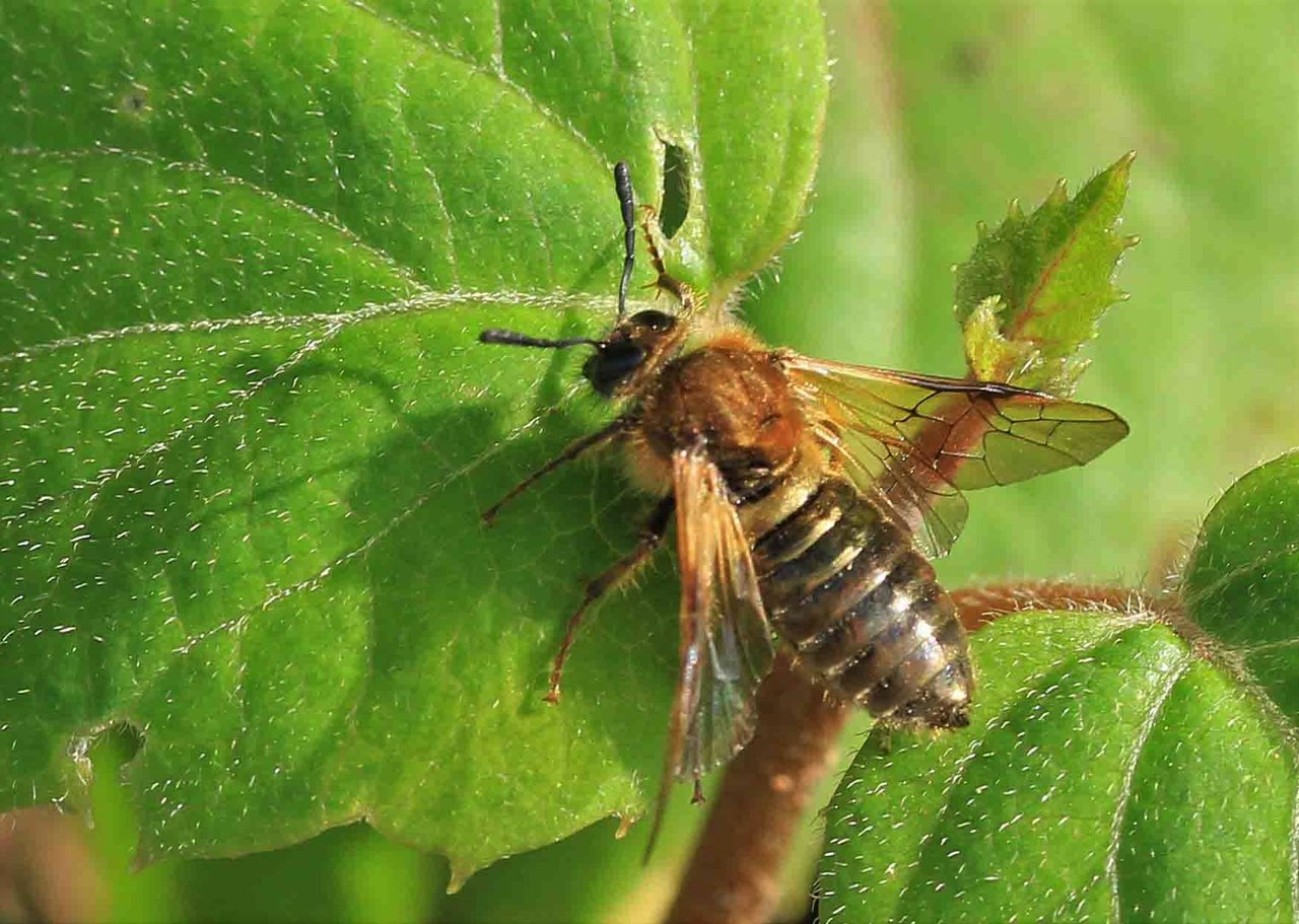 ドッグスクール・ポチパパの評判は？料金や場所はどこ？口コミも紹介！徒然なる回遊記
