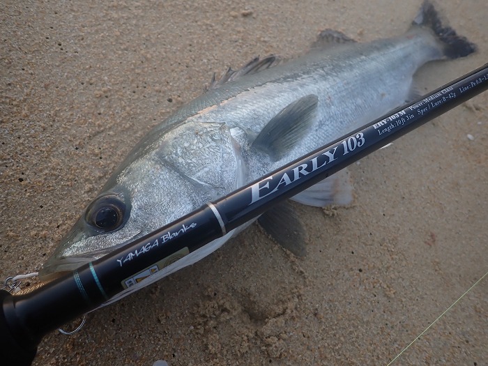 インプレ アーリー95MLRF Ti - ＶＥＲＹ ＳＴＯＲＭＹ