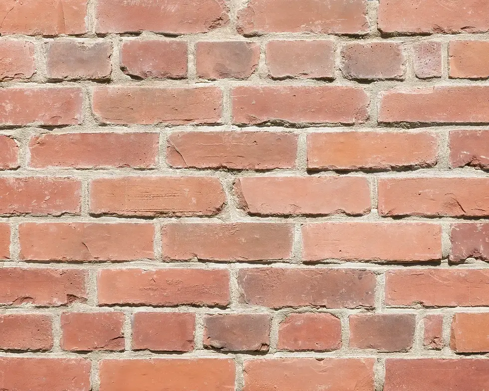 送料無料 株式会社明治 メイバランスブリックゼリー あずき味220g×24本入 栄養機能食品 亜鉛＜栄養食品シリーズ＞＜洋生菓子＞ ドラッグピュア楽天市場店△メイバランス ブリックゼリーあずき味佐野薬局宅配サイト