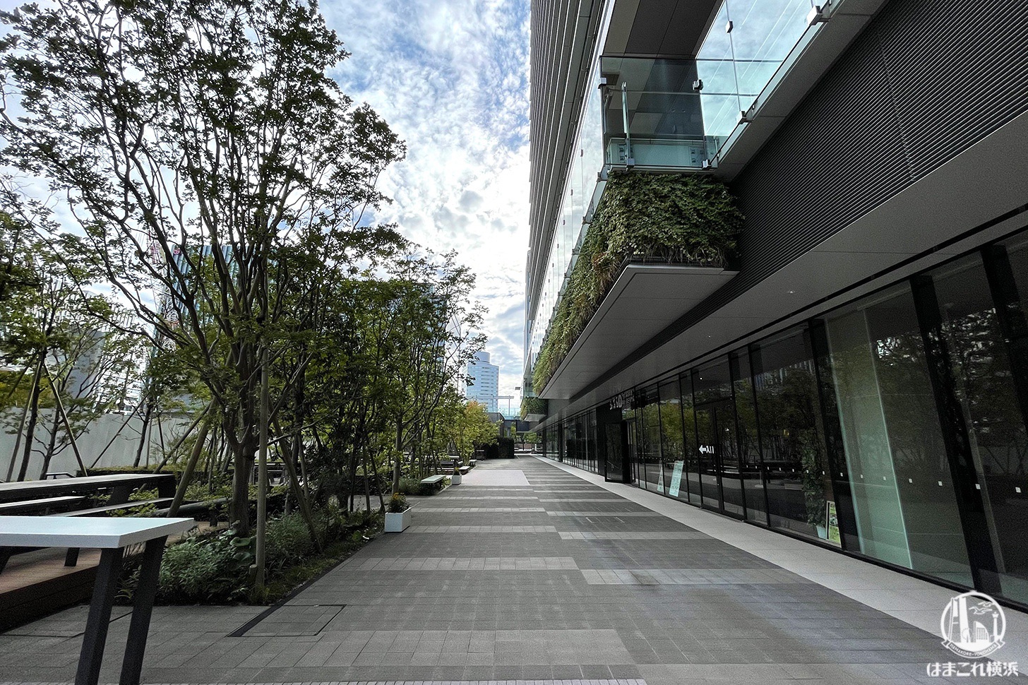 2025年最新 横浜・桜木町・みなとみらいの高層階にある“天空”のレストラン コスパのいいお店 - OZmallレストラン予約