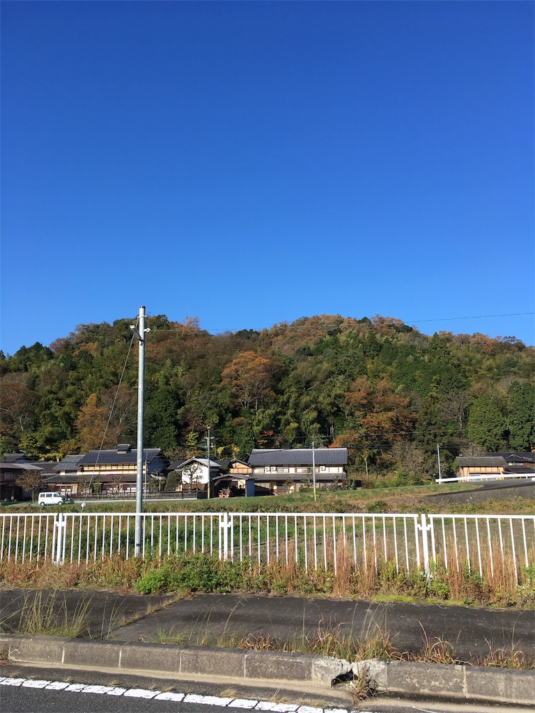 フォレストファイヤ10✖︎5cm 薪拾いはどこでする？違法にならない場所や方法