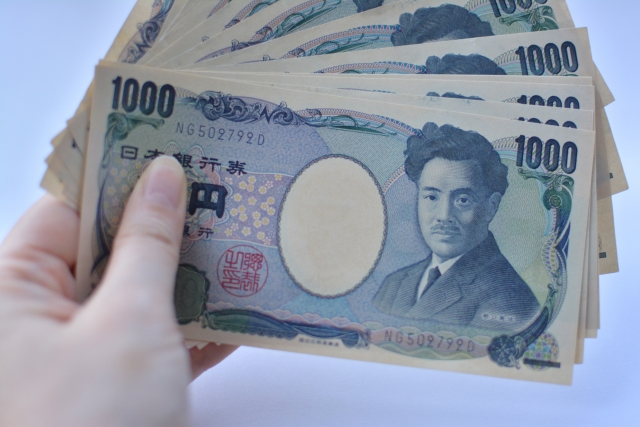 コストコ会員カードに登録した場合の年会費はいくら？ちゃんと元は取れるの？ぷらんちゃ.com