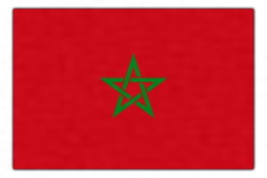 岸外務副大臣のモハメッド6世モロッコ国王即位18周年記念レセプション出席外務省