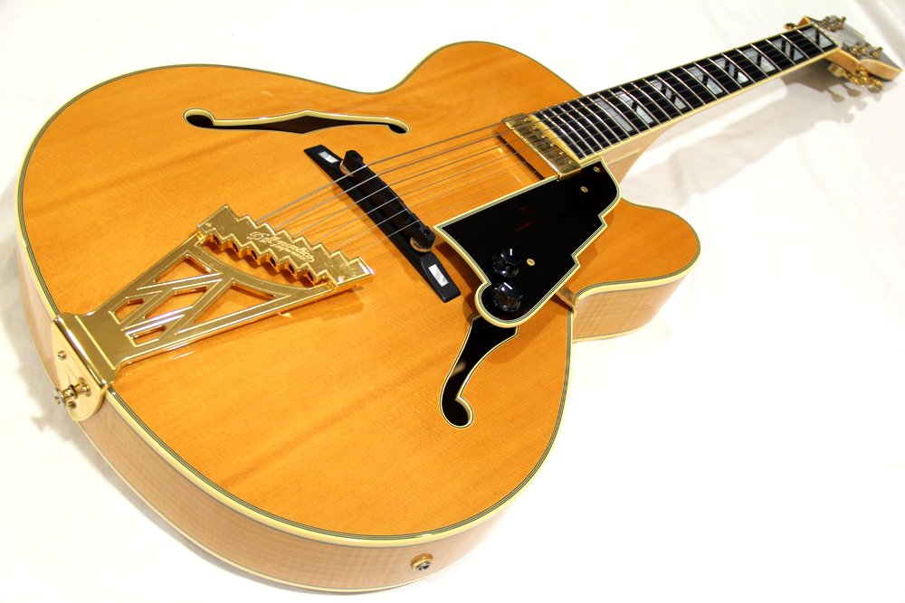 豊かで、力強いトーン「セミアコースティックギター特集」 エレキギター博士