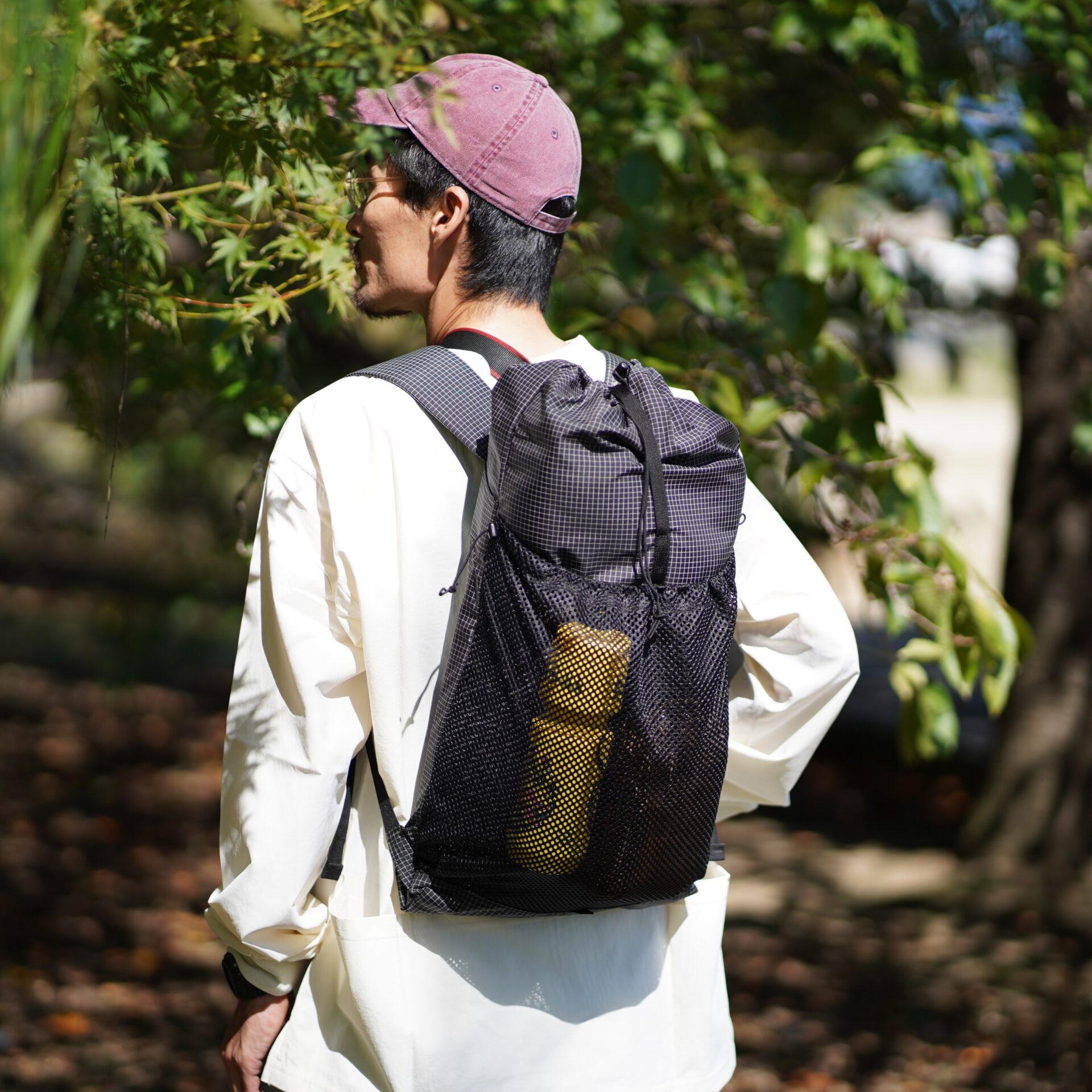 トム・プライスアメリカ合衆国の政治家- Wikipedia