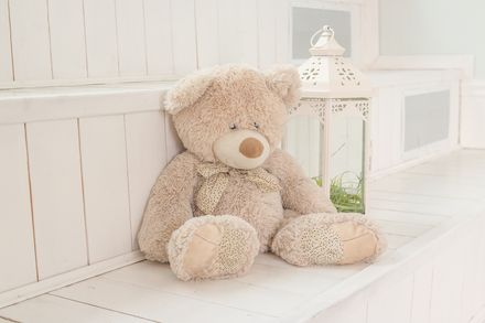 楽天市場 コストコくまの通販