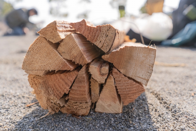拾った薪を売るのは違法？薪拾いで稼ぐ合法的な副業ビジネスを解説働きペディア