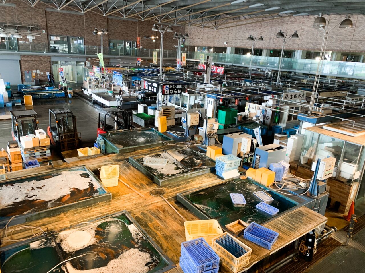 神戸市長田区 昭和の香りが残る市場「丸五市場」のうなぎ屋『菅川魚店』さん号外NET 神戸市兵庫区・長田区