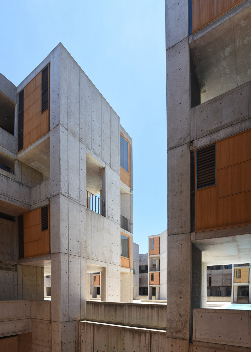 80点を超えるソーク生物学研究所のストックフォト、写真、そしてロイヤリティフリーの画像 - iStock