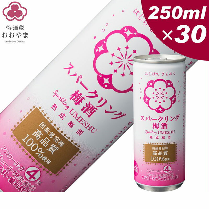 徳島県吉野川市の全国初の梅酒特区！こだわりの梅酒特集ふるさとチョイス - ふるさと納税サイト