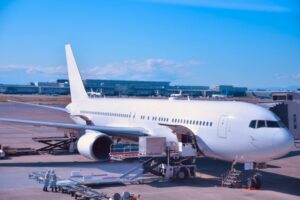 貨物扱いの動物 ペット 輸送について 国内 ANA Cargo