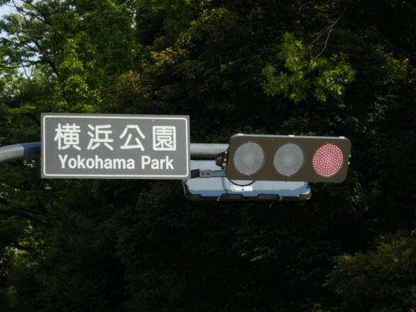 最近増えてる薄型フラット信号機の写真素材91706268- PIXTA