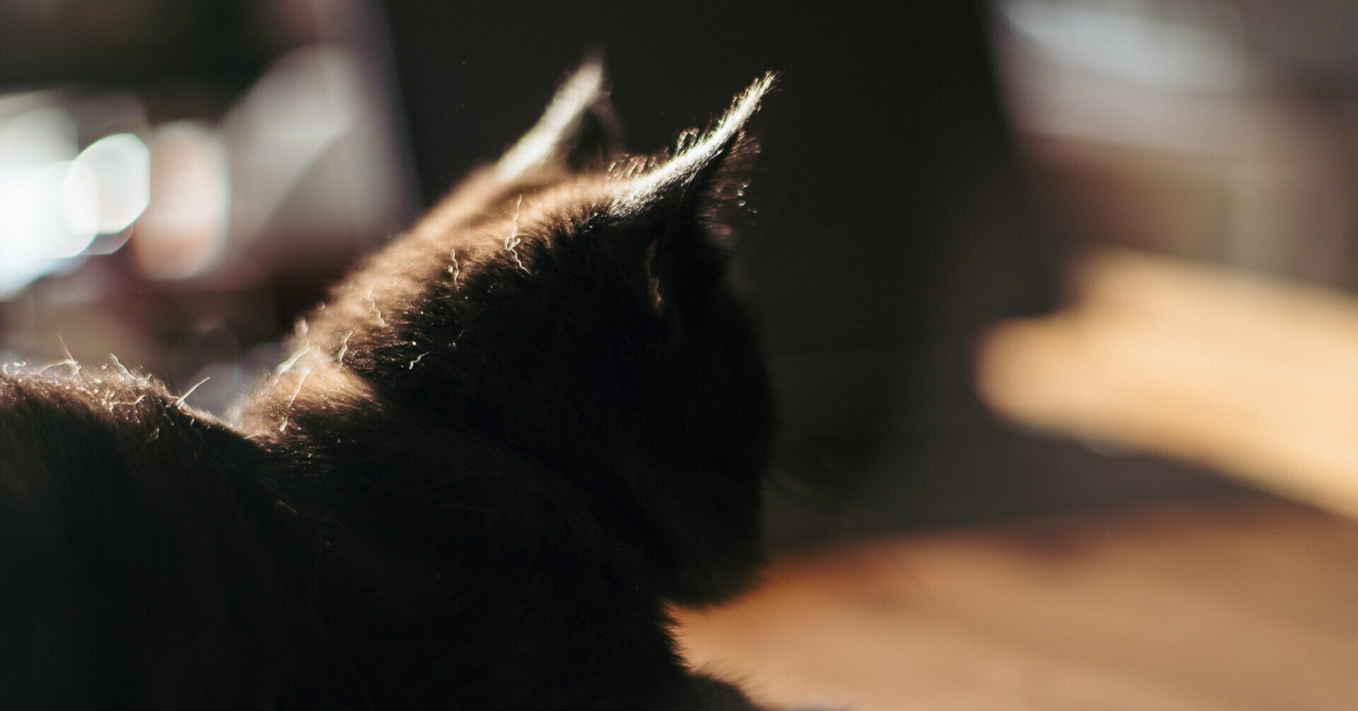 ゴム＆アヘンの歴史をたどるツアー シンガポール Booking.com