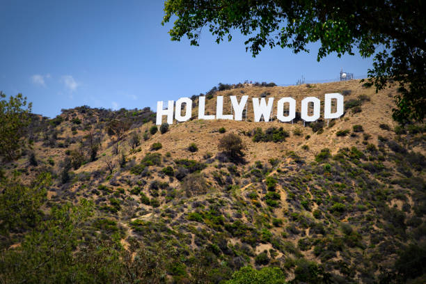 ハリウッド ヒルズ2次会幹事代行なら 2次会Story