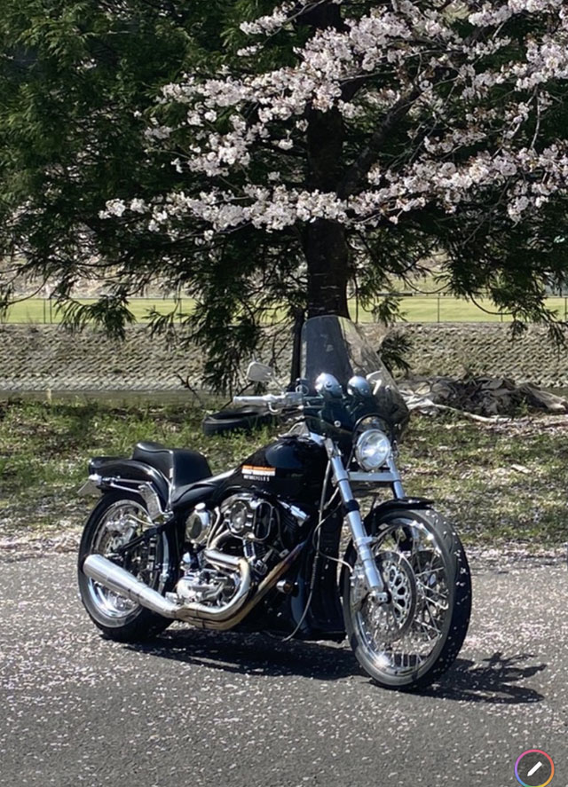 ソフテイル ファットボーイ 1998年式 FLSTF ハーレー カスタム車両の紹介