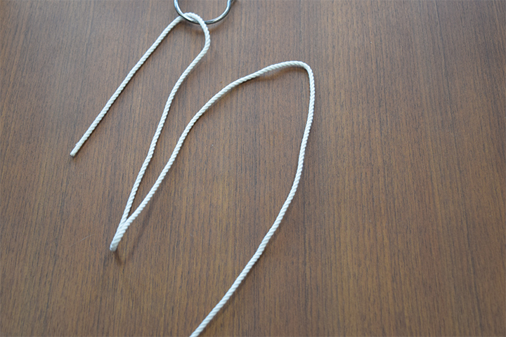 園芸でのロープワークのあれこれ - 公益財団法人 園芸植物育種研究所