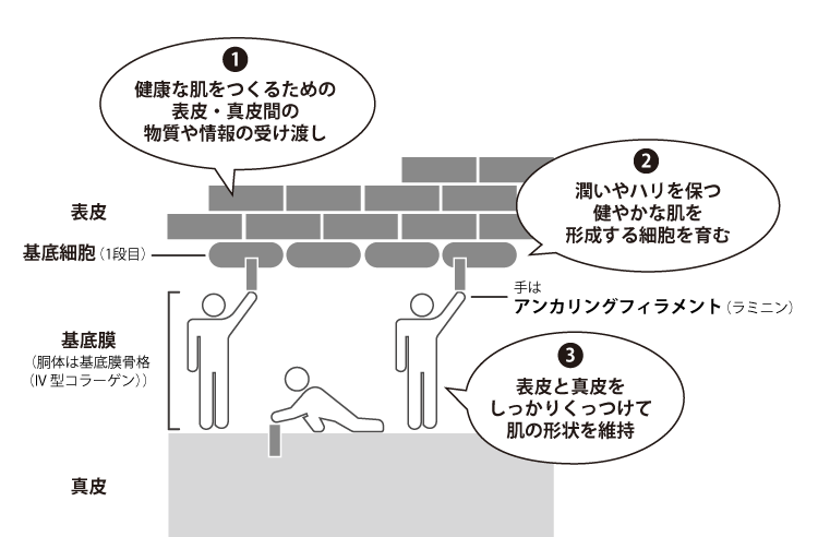 深化した『新ビーエムアクティブ理論』に注目！ きれいのレシピ by セプテムプロダクツ