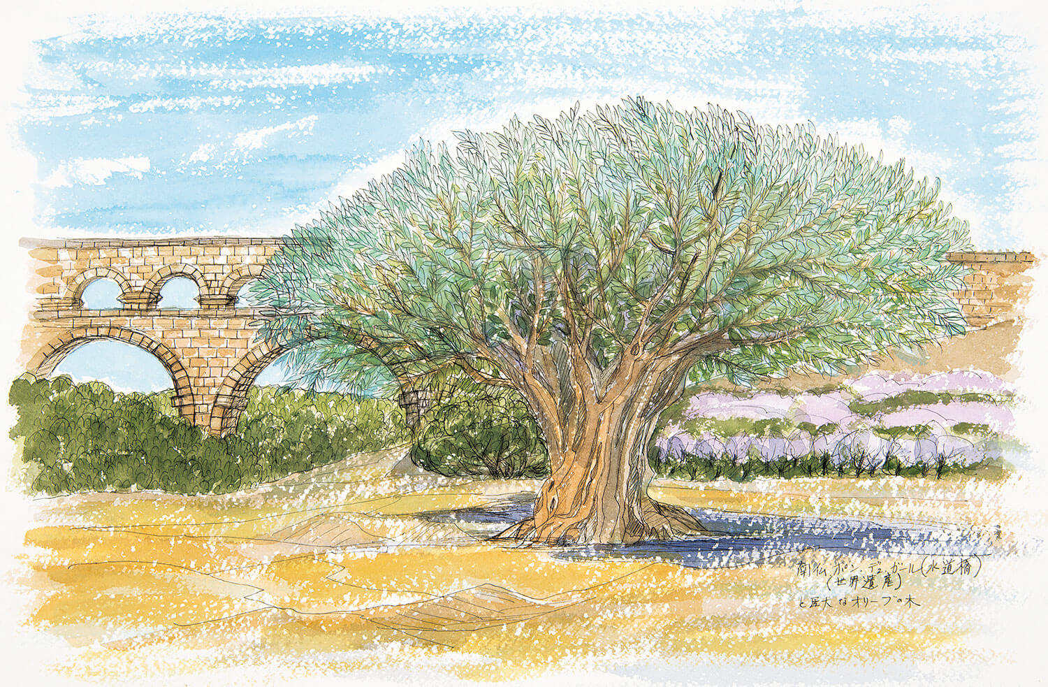 ガール橋」の意味や使い方 わかりやすく解説 Weblio辞書