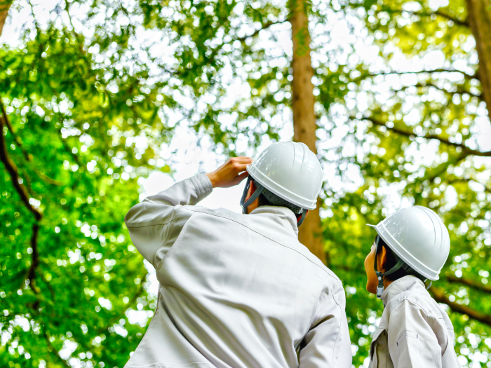 地産地消〜身近な食材から始める持続可能な食生活富士市の美味しいおこめ屋さん やまたか農場