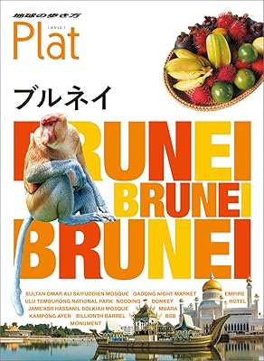 世界有数のセレブ国！ブルネイ王国の魅力５選日本人向け海外動画キュレーション＆海外旅行・生活ノウハウ記事ブイキュレ