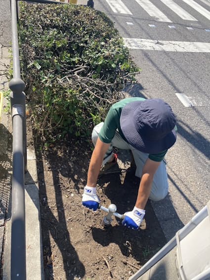 ビッグモーター「月に１、２回除草剤まいた」藤沢・平塚の店舗 幹部が神奈川県に報告 : 読売新聞