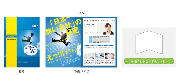 映画 洋画 哀れなるものたち パンフレット 折り畳み&見開き版 フライヤー 付きの通販 by alice's shopラクマ