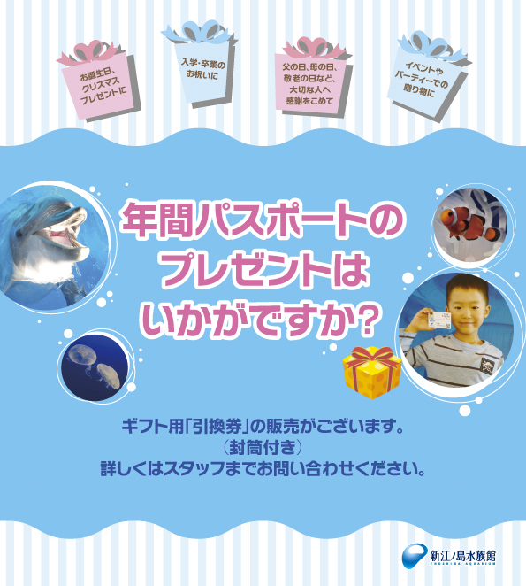 更に購入した「伝説のポケモン」おでまし引換券6枚分に日本ROM英語で伝説ポケモン6匹受取。蒼き月に耀く夜空で留まりし羽根 ポケモン幻影夜天