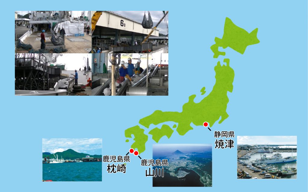 マルコ水産こばなし まぐろ・かつおの漁獲方法