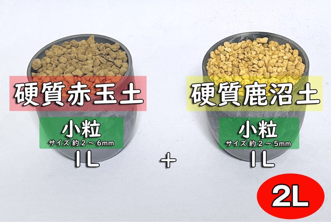 鹿沼土とは特徴や植物に合わせた使い方は？赤玉土との違いは？🍀GreenSnap グリーンスナップ
